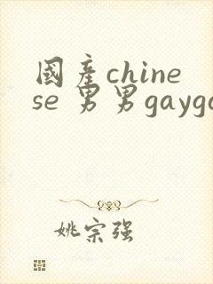 国产chinese 男男gaygay