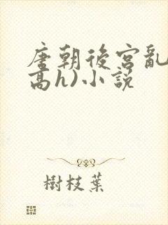 唐朝后宫乱淫(高h)小说