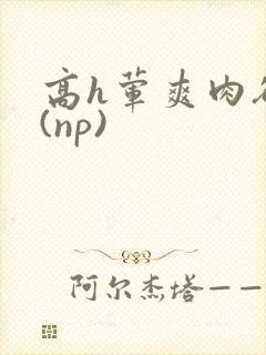 高h荤爽肉欲文(np)封面