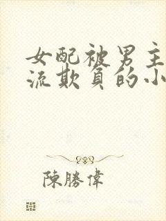 女配被男主们轮流欺负的小说封面