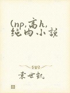 (np,高h,纯肉小说