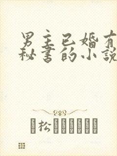 男主已婚有外遇秘书的小说推荐