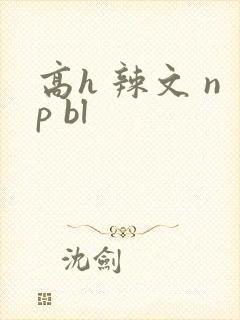 高h 辣文 np bl