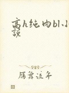 高h纯肉bl小说封面