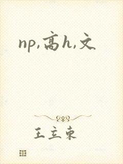 np,高h,文封面