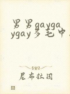 男男gaygaygay多毛中国