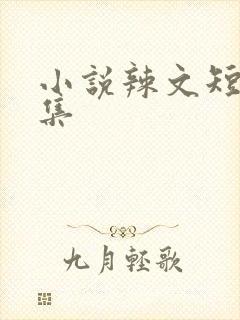 小说辣文短篇合集