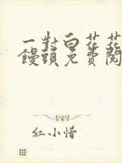 一对白花花的大馒头免费阅读