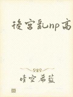 后宫乱np高h