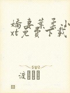 娇妻叶柔小说txt免费下载