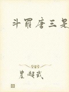 斗罗唐三是我哥