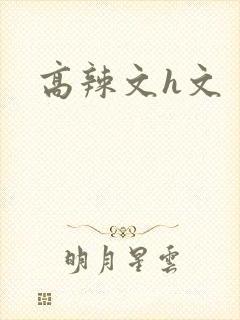 高辣文h文