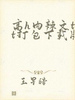 高h肉辣文txt打包下载版封面