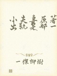 小夫妻原著女主出轨是哪一章