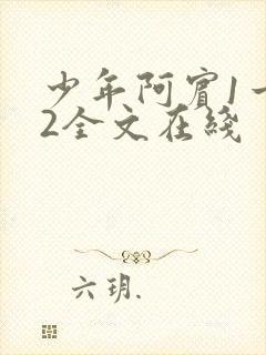 少年阿宾1一72全文在线封面