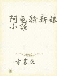 阿龟验新娘系列小说