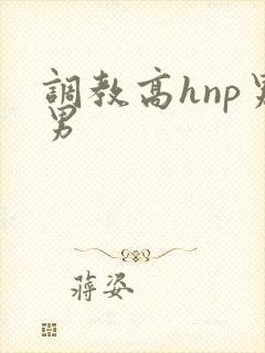 调教高hnp男男