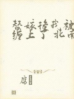 替嫁后我被大佬缠上了 北南