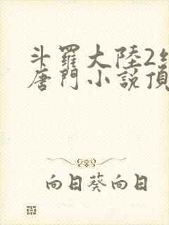 斗罗大陆2绝世唐门小说顶点小说封面