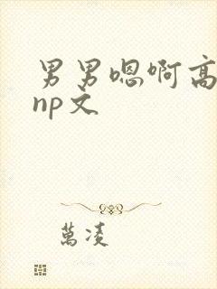 男男嗯啊高h黄np文