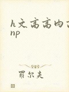 h文高高肉高辣np