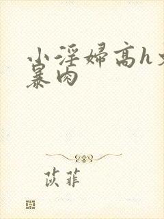 小淫妇高h文黄暴肉