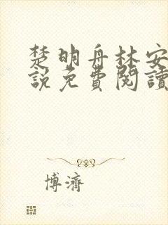 楚明舟林安安小说免费阅读无弹窗