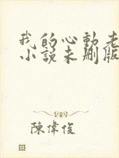 我的心动老板娘小说未删版下载txt