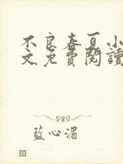 不良春夏小说全文免费阅读最新章节