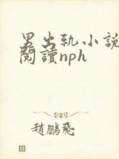 男出轨小说在线阅读nph