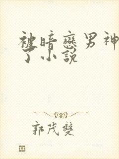 被暗恋男神窥视了小说