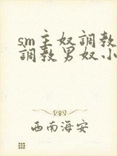 sm主奴调教:调教男奴小说封面