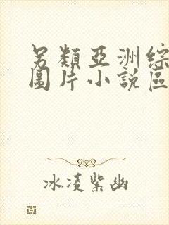 另类亚洲综合区图片小说区