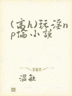 (高h)玩淫np伦小说