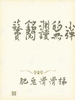 苏铭渊的小说免费阅读无弹窗