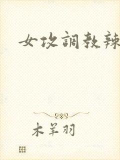 女攻调教辣文