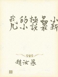 我的极品小姨叶凡小说最新章节列表