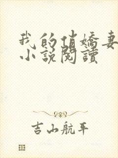 我的俏娇妻小慧小说阅读封面