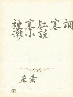 被塞肛塞调教高潮小说