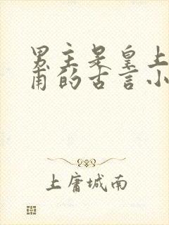 男主是皇上姓皇甫的古言小说