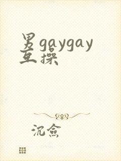 男gaygay互操