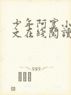 少年阿宾小说全文在线阅读