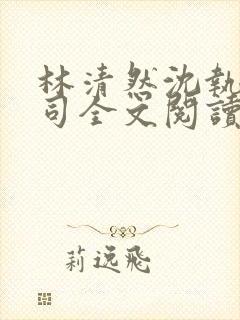 林清然沈执许镇司全文阅读