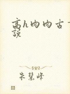 高h肉肉古言小说