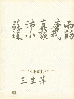 苏沛真唐雨菲林道小说我的岳母封面