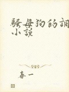 骚母狗的调教h小说