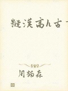 糙汉高h古言