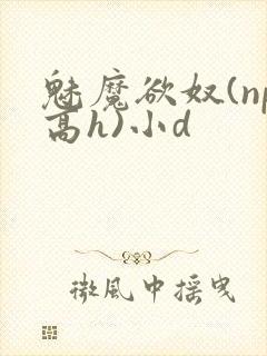 魅魔欲奴(np高h)小d