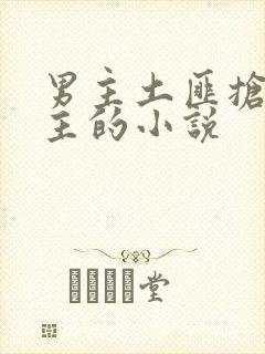 男主土匪抢了女主的小说封面