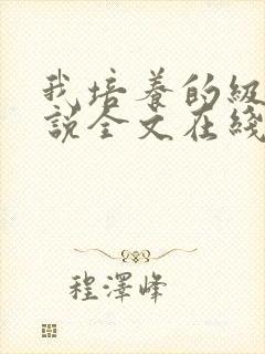 我培养的级们小说全文在线阅读